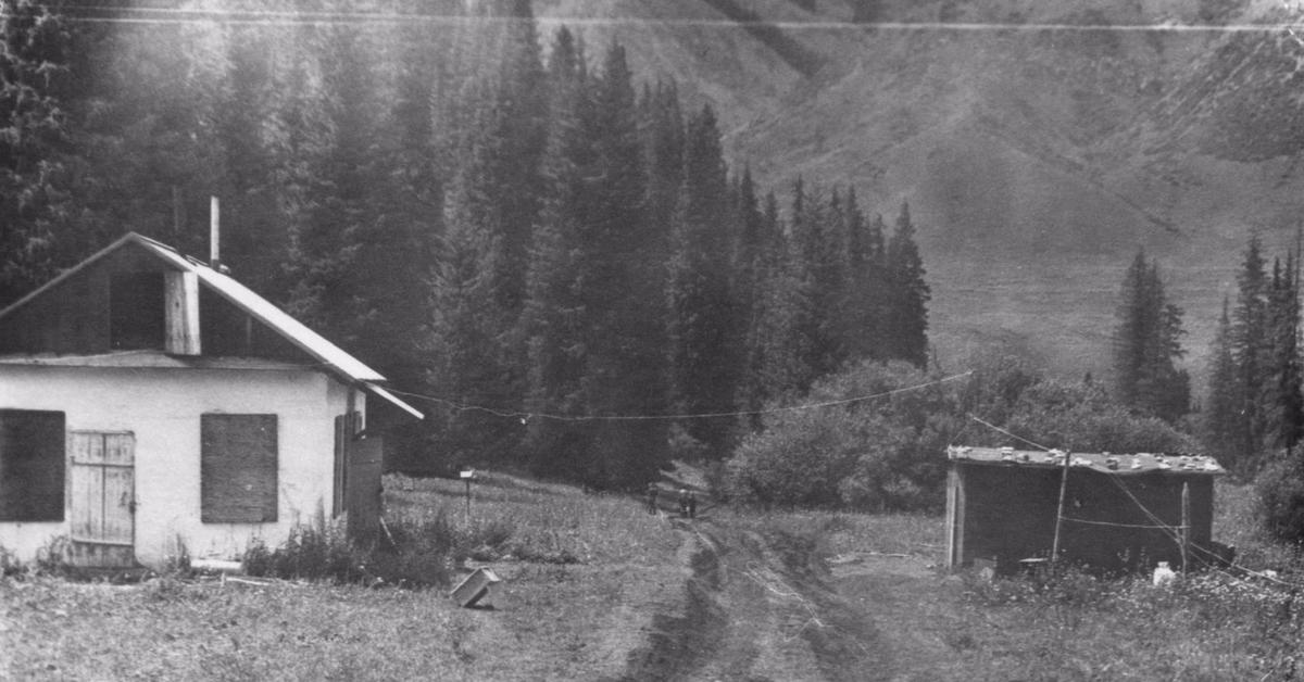 СИСТЕМА НИППЕЛЬ | Пикабу