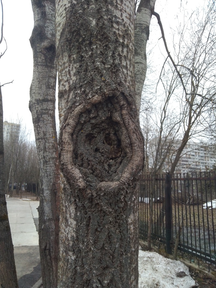 �� ������ �� ������