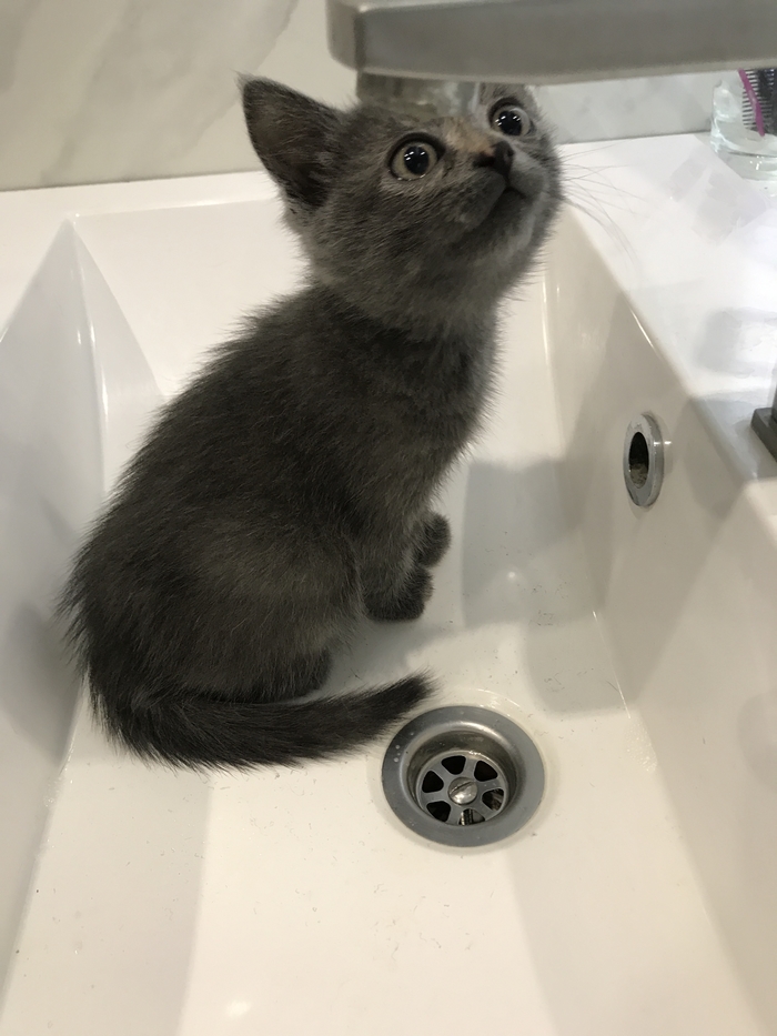 Больше любви