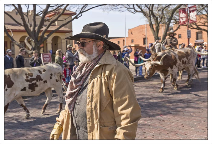 Техас: побыкуем? Техас, США, Корова, Бык, Ковбои, Длиннопост
