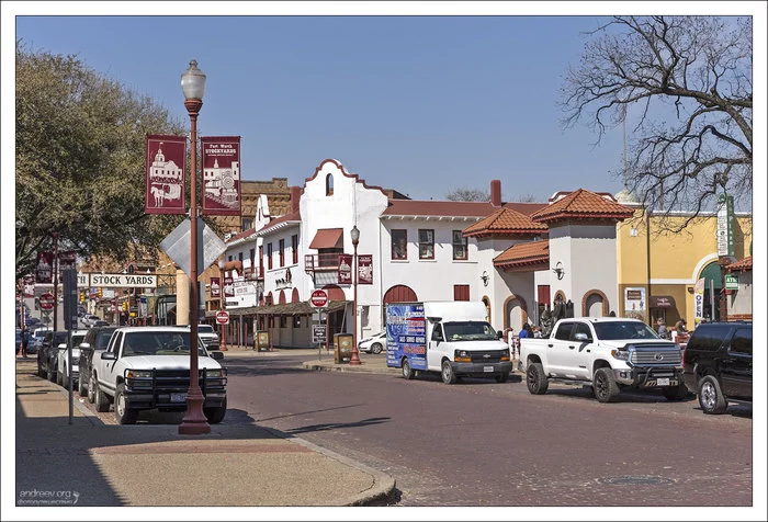 Техас: побыкуем? Техас, США, Корова, Бык, Ковбои, Длиннопост