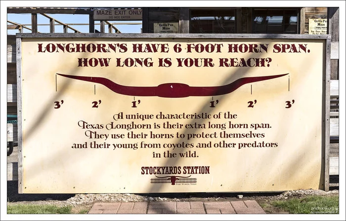 Техас: побыкуем? Техас, США, Корова, Бык, Ковбои, Длиннопост