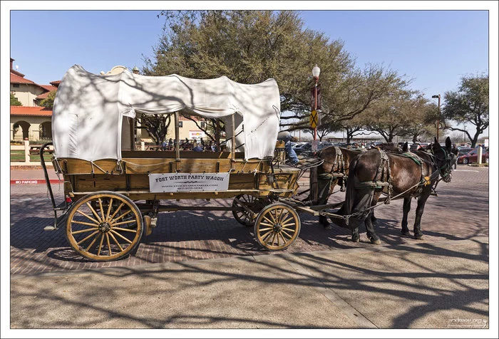 Техас: побыкуем? Техас, США, Корова, Бык, Ковбои, Длиннопост