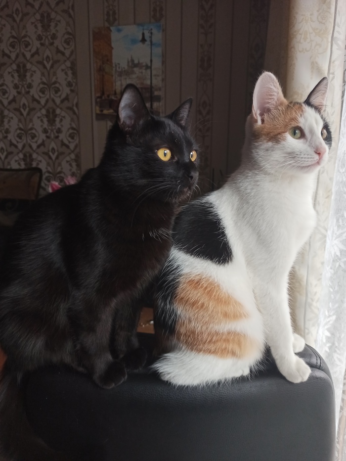 ��� � �����