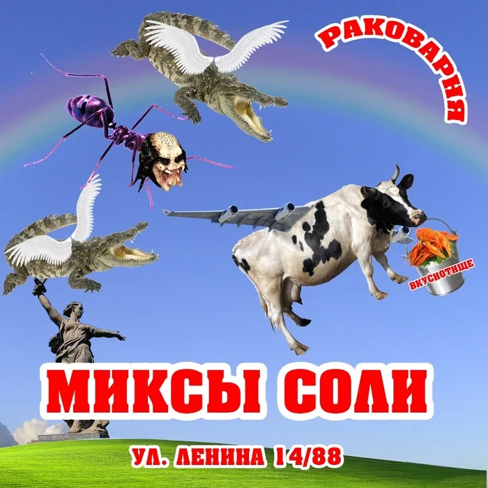 https://cs13.pikabu.ru/post_img/2021/04/16/5/1618557304110141943.webp