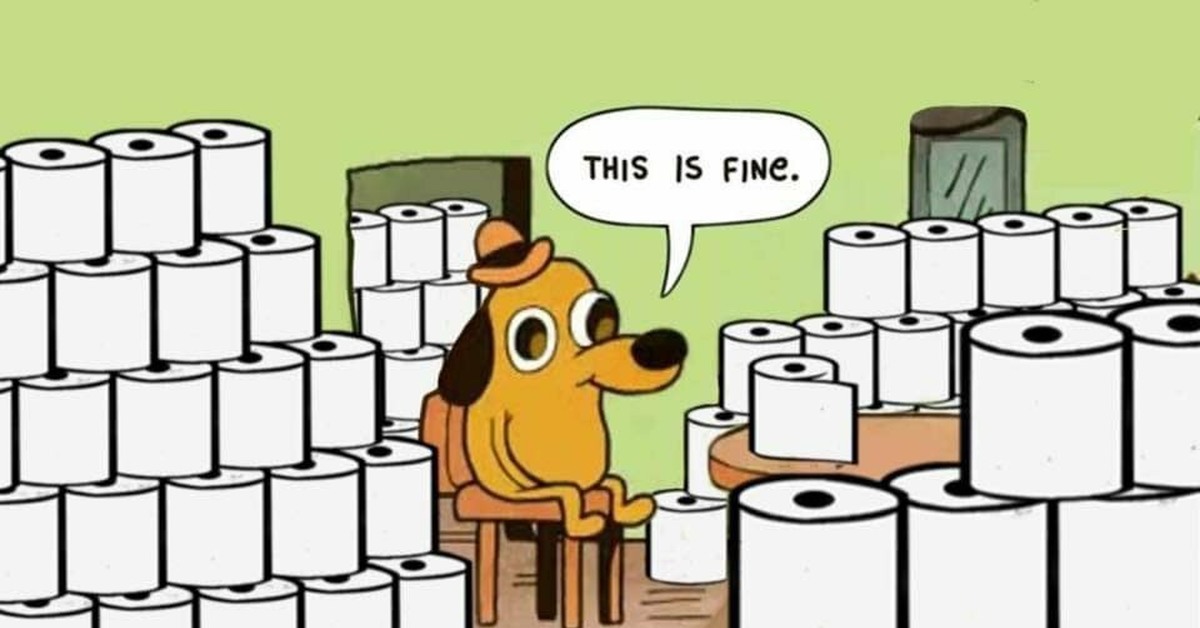 We s fine. Мемы про туалетную бумагу. Мемы коронавирус туалетная бумага. Туалетная бумага карикатура. Шутки про туалетную бумагу.