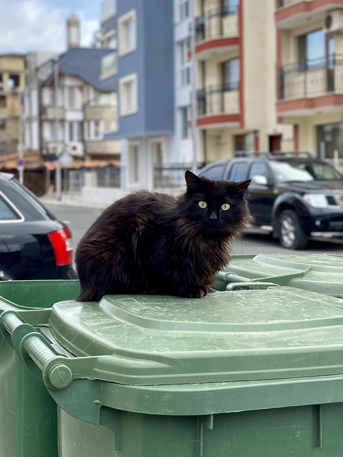 ��� �� ���������