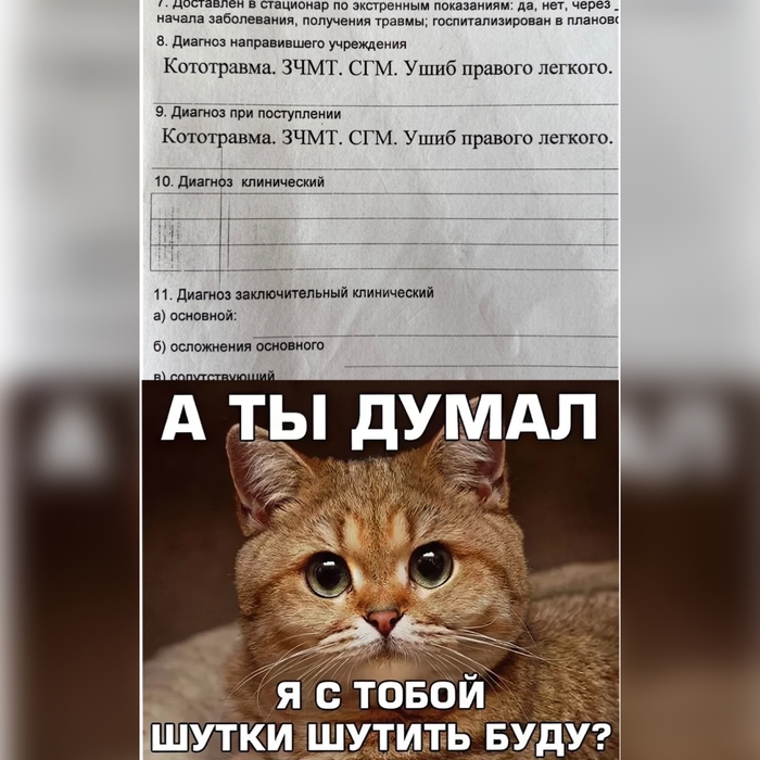 Погладил где не должен был