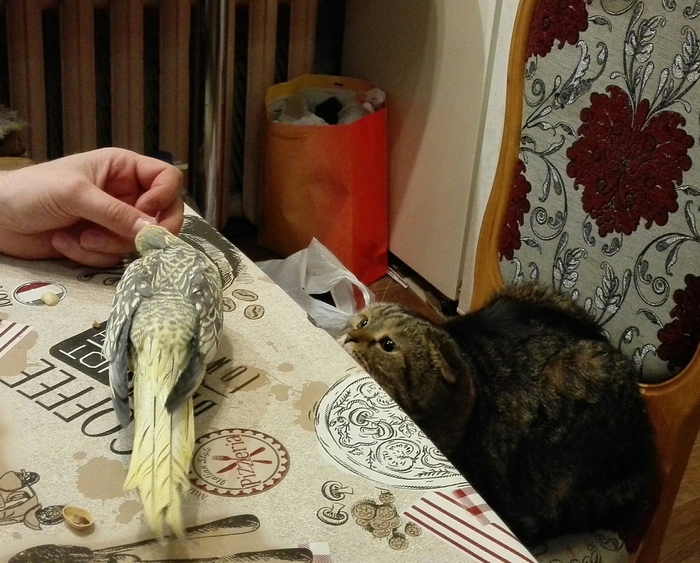 Почему он, а не я?