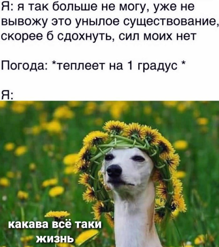 Каждый раз