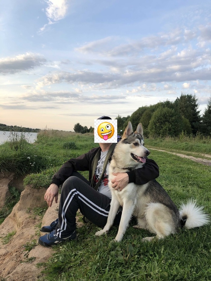 Прошу помощи