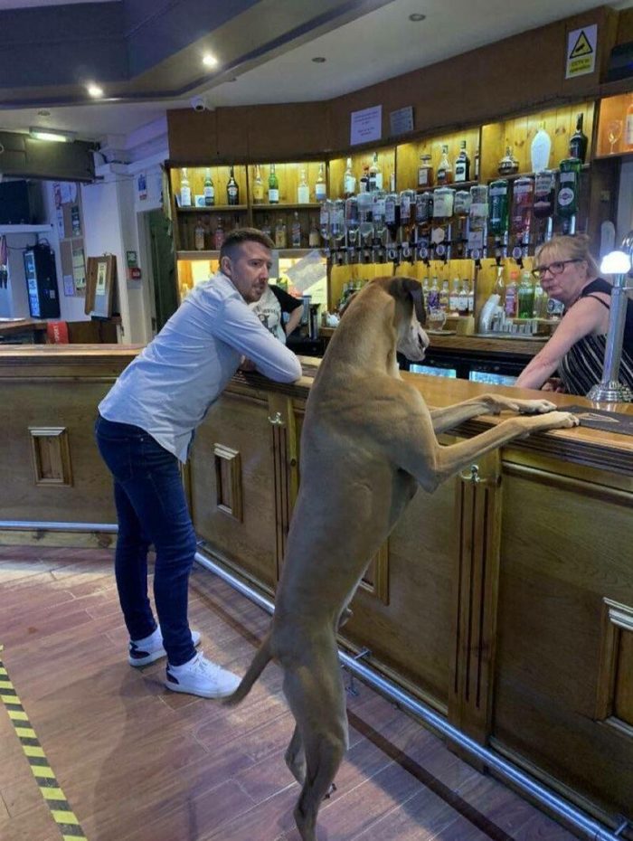 Может, вам еще и родословную мою показать кроме паспорта?