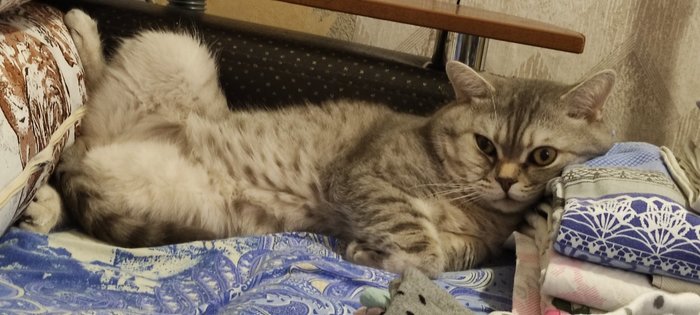 ������� �� ��������