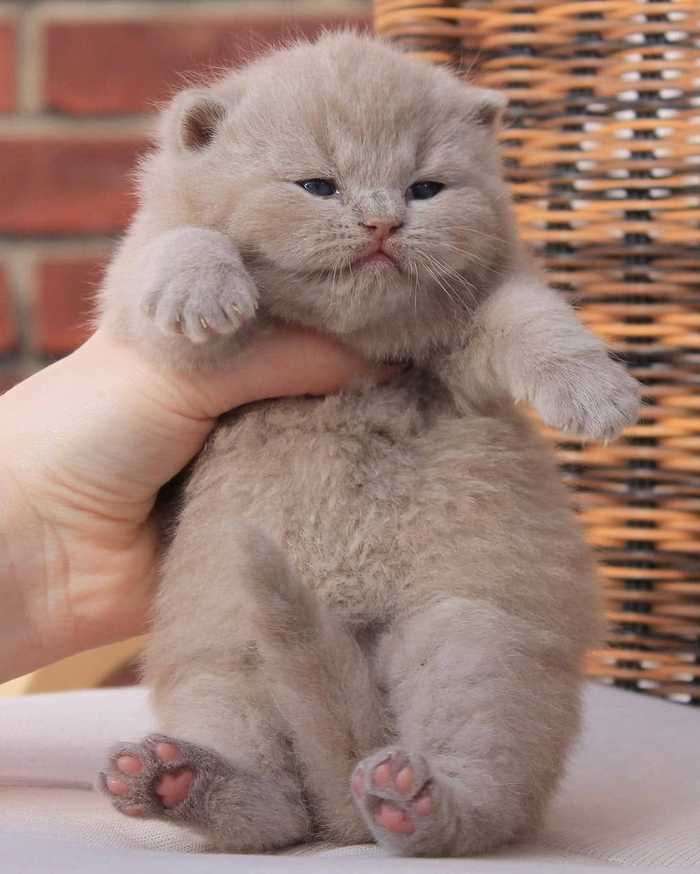 �������!