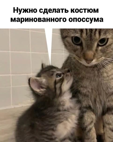 родители называют меня тупой. Смотреть фото родители называют меня тупой. Смотреть картинку родители называют меня тупой. Картинка про родители называют меня тупой. Фото родители называют меня тупой родители называют меня тупой. Смотреть фото родители называют меня тупой. Смотреть картинку родители называют меня тупой. Картинка про родители называют меня тупой. Фото родители называют меня тупой