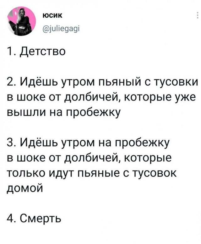 Этапы жизни