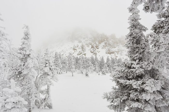 ���� �� �������