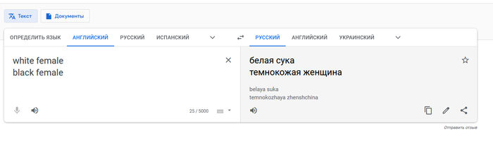  Google Translate , , , Google Translate