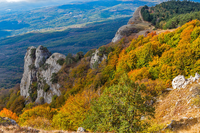 Эмоции на испанском языке. Смотреть фото Эмоции на испанском языке. Смотреть картинку Эмоции на испанском языке. Картинка про Эмоции на испанском языке. Фото Эмоции на испанском языке