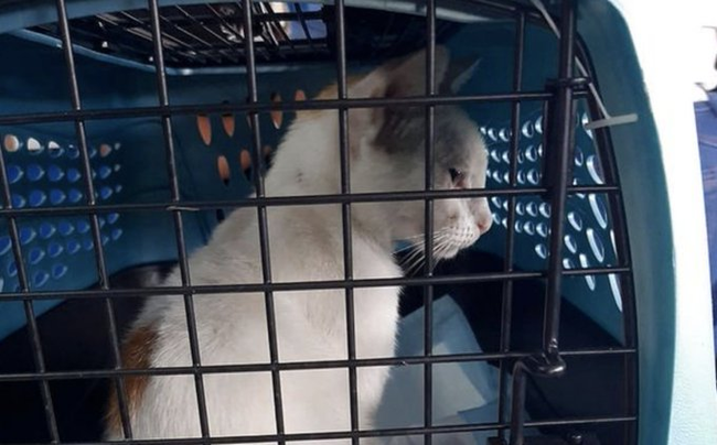 в чем секрет энергии царя бориса. 1619038255177969965. в чем секрет энергии царя бориса фото. в чем секрет энергии царя бориса-1619038255177969965. картинка в чем секрет энергии царя бориса. картинка 1619038255177969965. В ближайшие дни официальный визит в Москву совершит Борис Джонсон. Последний раз глава «Форин офис» приезжал к нам пять лет назад, российско-британские отношения были исключительно плохими. Как сложится диалог сегодня, предугадать трудно. Тем более что наш мартовский гость — фигура неоднозначная. в чем секрет энергии царя бориса. 1619038255177969965. в чем секрет энергии царя бориса фото. в чем секрет энергии царя бориса-1619038255177969965. картинка в чем секрет энергии царя бориса. картинка 1619038255177969965. В ближайшие дни официальный визит в Москву совершит Борис Джонсон. Последний раз глава «Форин офис» приезжал к нам пять лет назад, российско-британские отношения были исключительно плохими. Как сложится диалог сегодня, предугадать трудно. Тем более что наш мартовский гость — фигура неоднозначная.