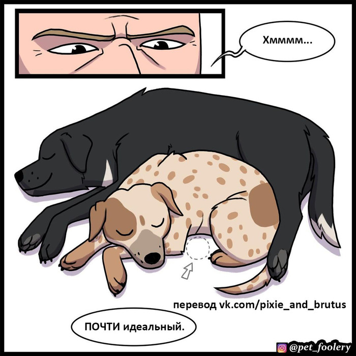   , , , Pet Foolery, , 