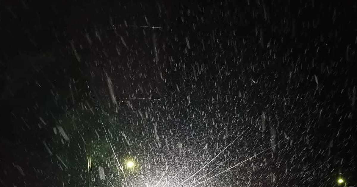 Просто весенний снегопад | Пикабу