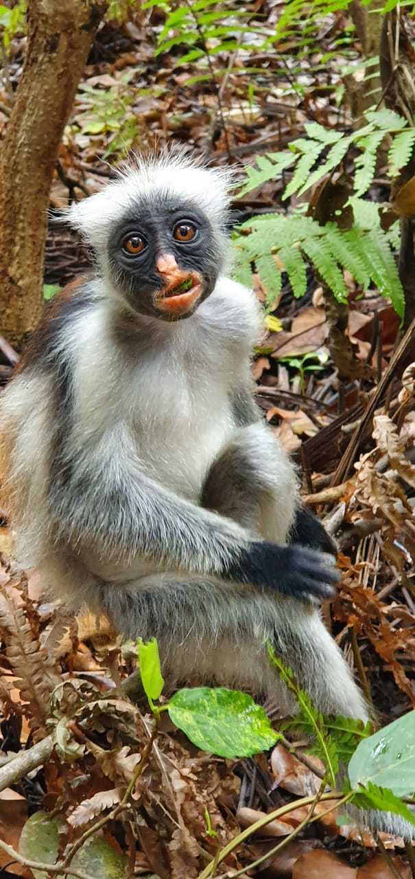 Шёл по лесу и встретил этого парнишку