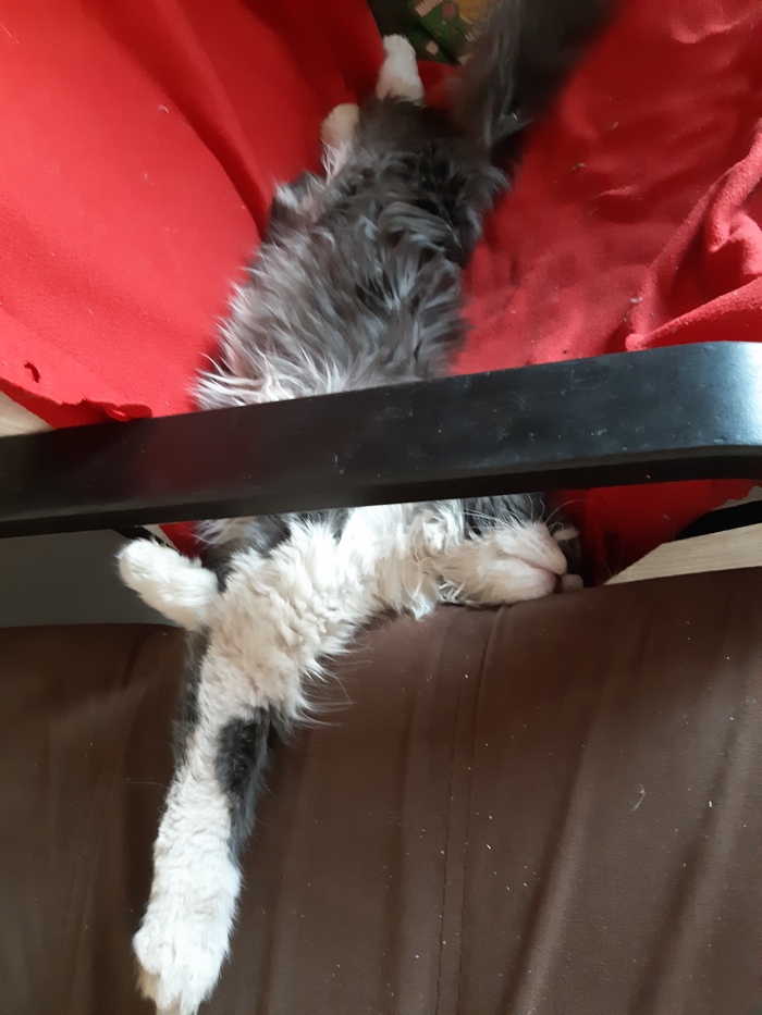 � - �������