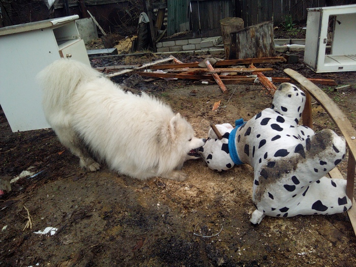 ������ ������� ����� �� ����������� ���