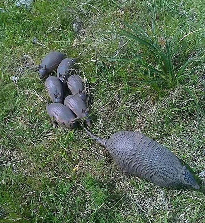 Многодетная мама