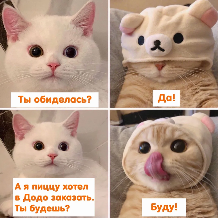 ! , , ,  (), ,  ,  , 