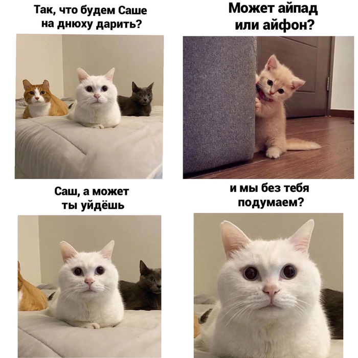   ! , ,  ,  , ,  (), , ,   