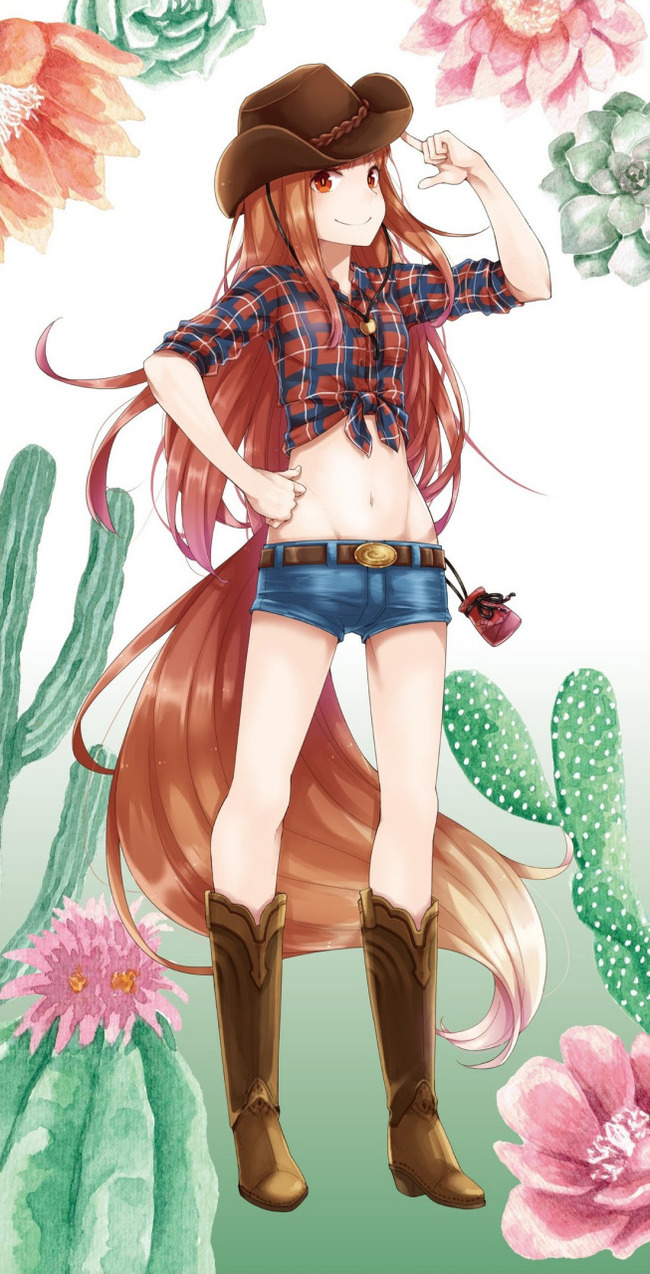    , Spice and Wolf, , Holo, Anime Art