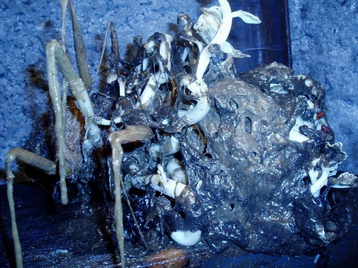 ����-�������