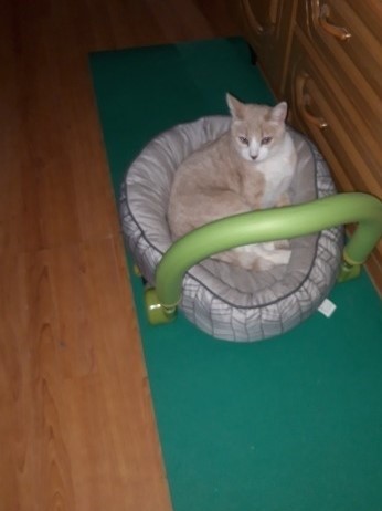 О спорт, ты - мир!