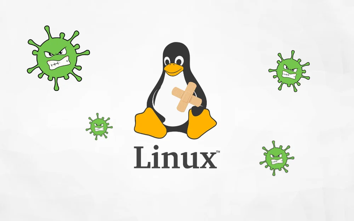 Языки программирования для линукс