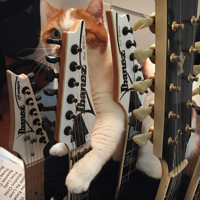    Paul Gilbert, , , , 