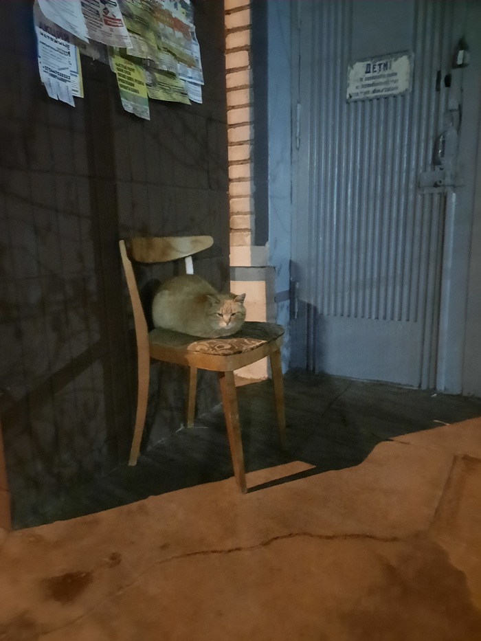 ������ ������