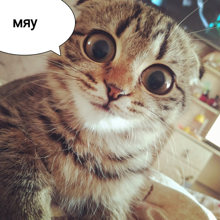 ����� �� ������, ��� �������