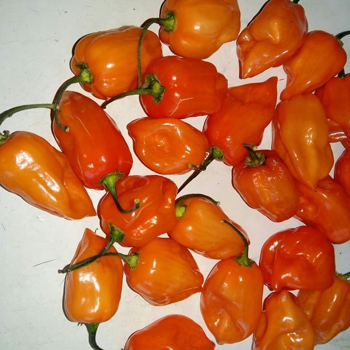 Как Я Хабанеро кушал | Пикабу