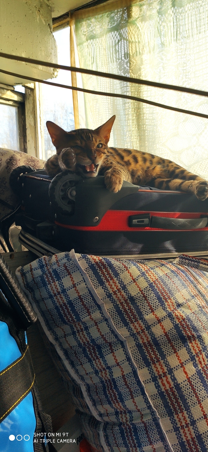 �� ������, ������ �������