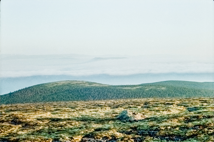 �������� ����� ��� ��������