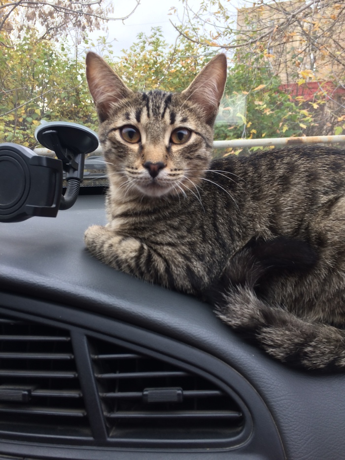 ������ ��� � �����