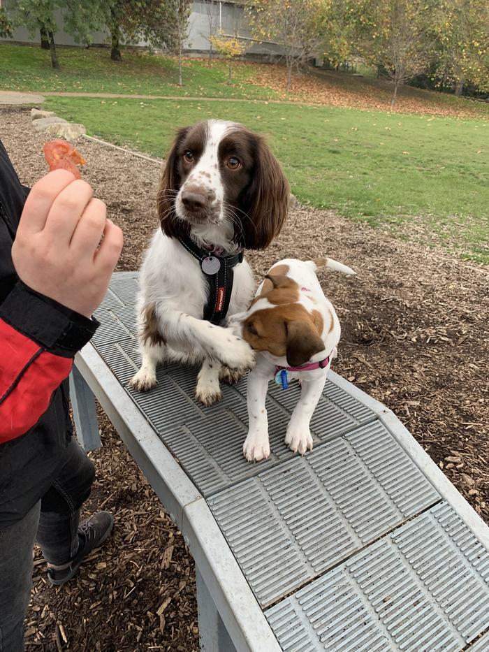 Не стоит ему этого видеть...