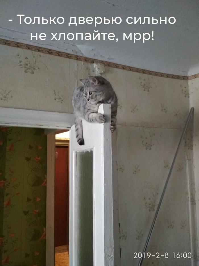 �� �����