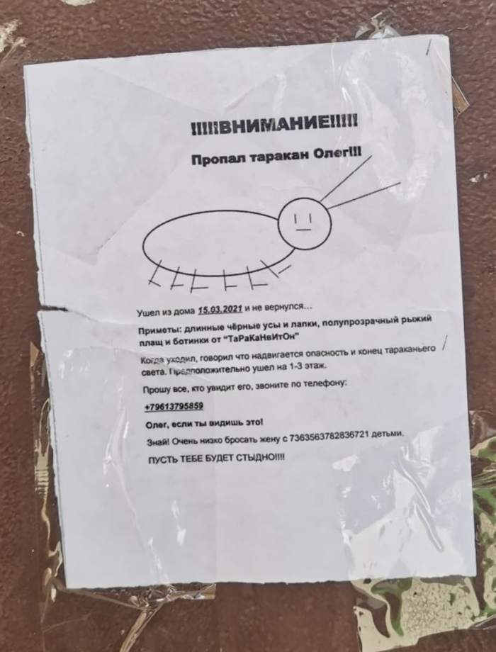 Пропал таракан