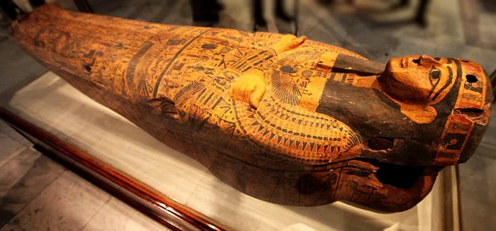 Дерево смерти Дерево, Природа, Тис, Яндекс Дзен, Длиннопост