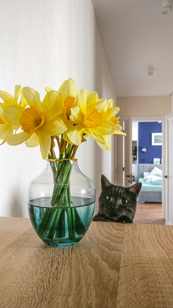 Любопытная мордочка