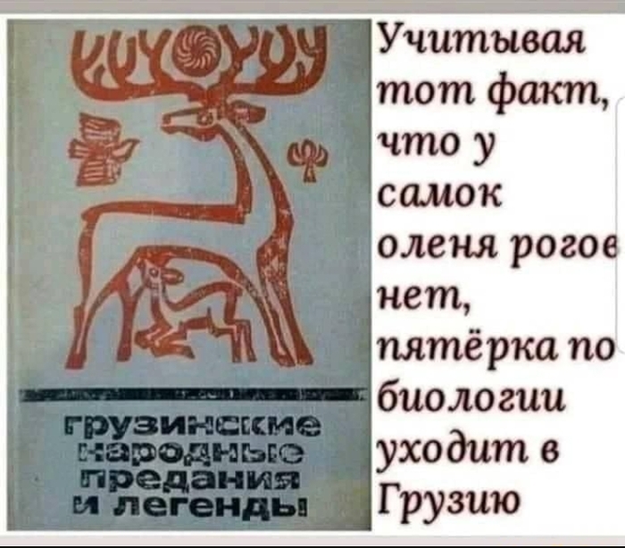 Как называется жилище бабы яги. 1619956267161396529. Как называется жилище бабы яги фото. Как называется жилище бабы яги-1619956267161396529. картинка Как называется жилище бабы яги. картинка 1619956267161396529