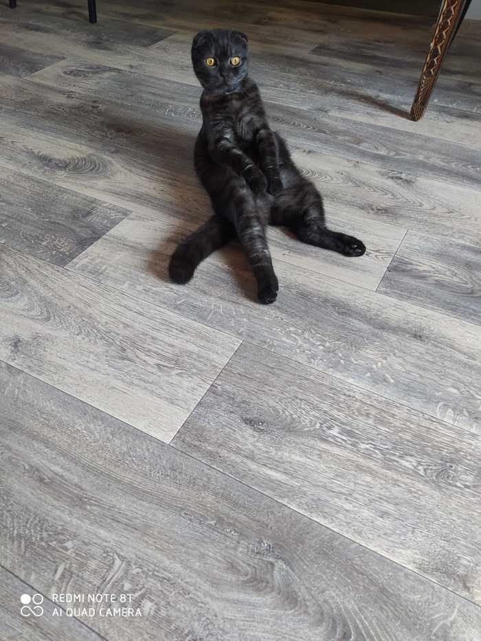  , 